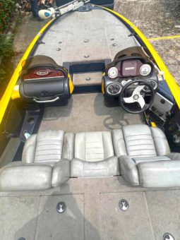 TRITON BOATS TR 19