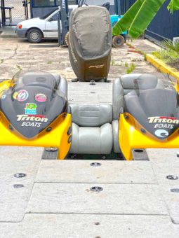 TRITON BOATS TR 19