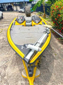 TRITON BOATS TR 19