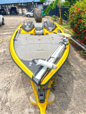 TRITON BOATS TR 19