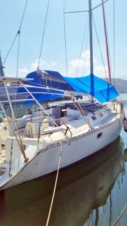 
										VELERO JEANNEAU SUB ODYSSEY 45.2 full									