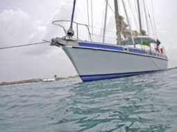 
										VELERO MORGAN OUT ISLAND 49 full									