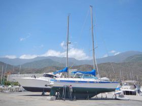 VELERO MORGAN OUT ISLAND 49