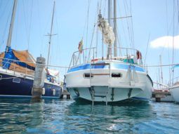 
										VELERO MORGAN OUT ISLAND 49 full									