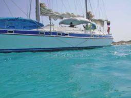 
										VELERO MORGAN OUT ISLAND 49 full									