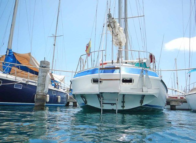 
								VELERO MORGAN OUT ISLAND 49 full									