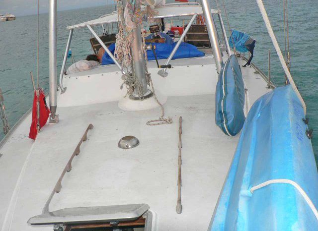 
								VELERO MORGAN OUT ISLAND 49 full									