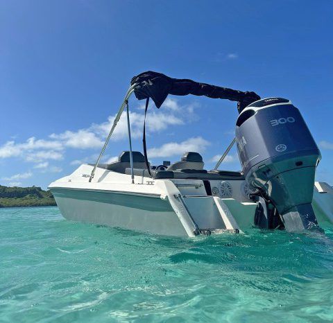 
								VELOCITY SPORT 23 full									