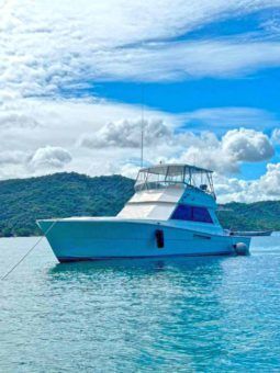 
										VIKING 48 full									