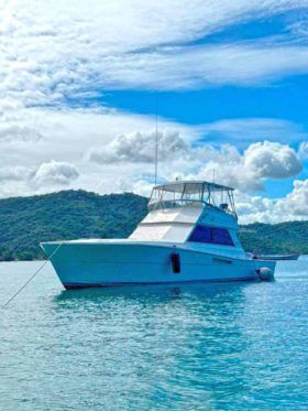VIKING 48