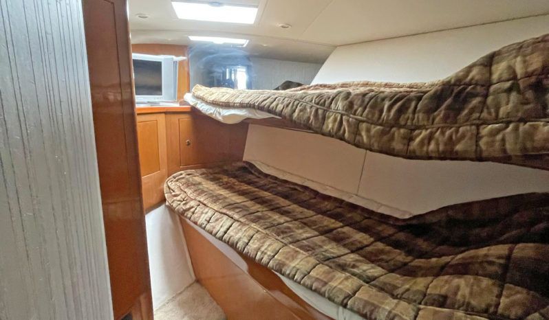 
								VIKING CONVERTIBLE 48 full									