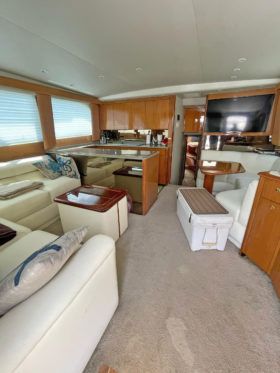 VIKING CONVERTIBLE 48