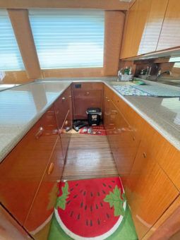 VIKING CONVERTIBLE 48