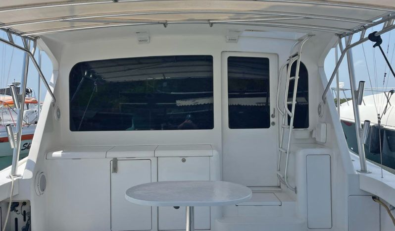 
								VIKING CONVERTIBLE 48 full									