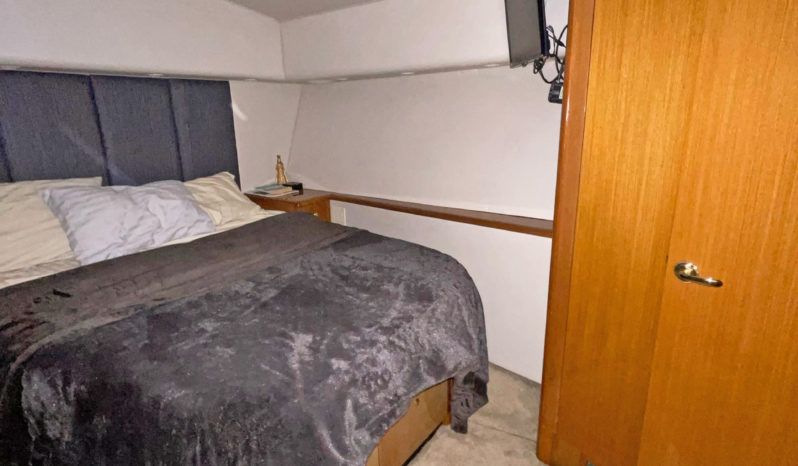 
								VIKING CONVERTIBLE 48 full									