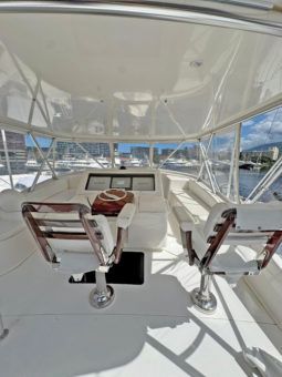 
										VIKING CONVERTIBLE 68 full									