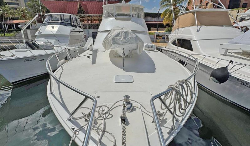 
								VIKING CONVERTIBLE 68 full									