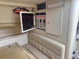 WELLCRAFT COASTAL 33