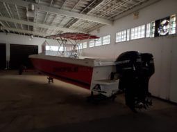 
										MOTORES PAREJA OPTIMAX 200 HP full									