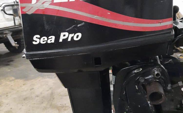 
								MOTOR MERCURY SEA PRO 55HP full									