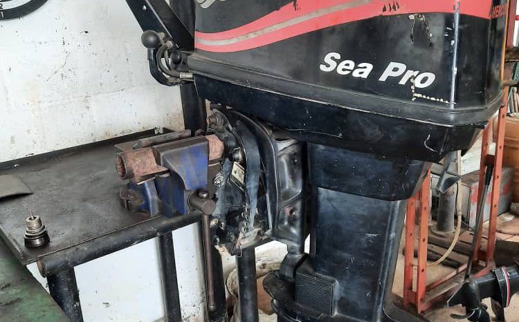 
								MOTOR MERCURY SEA PRO 55HP full									