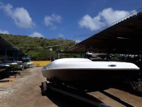 BLACK JACK SPORT 21