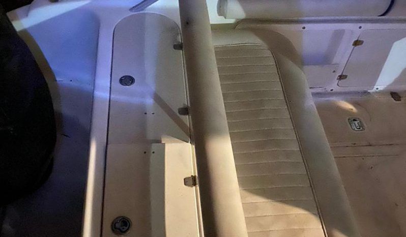 
								PROMARINE OPEN 27 full									