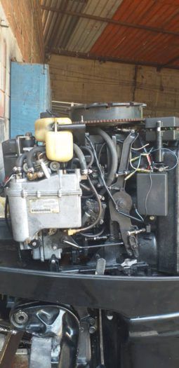 
										MOTOR MERCURY PROMAX 2.5 full									