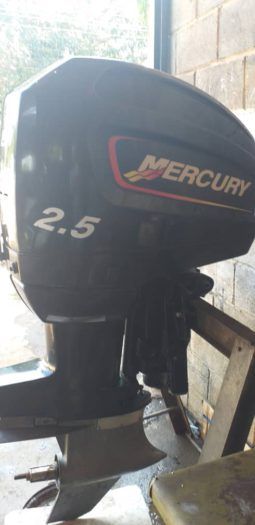 
										MOTOR MERCURY PROMAX 2.5 full									
