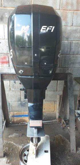 MOTOR MERCURY PROMAX 2.5