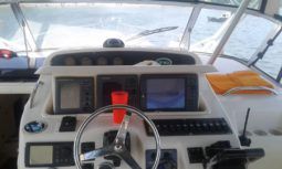 
										GRADY WHITE 330 full									