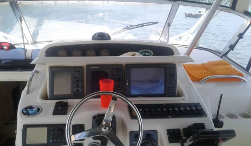 
								GRADY WHITE 330 full									