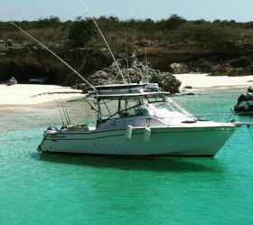 GRADY WHITE 330