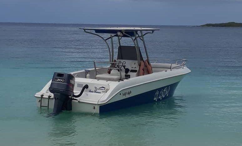 
								AQUANAUTI OPEN 21 full									