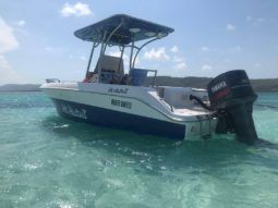 
										AQUANAUTI OPEN 21 full									