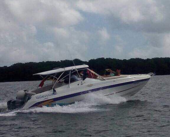 
								INTERMARINE AVANTI 35 full									