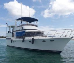 
										WINTER WIND 43 full									