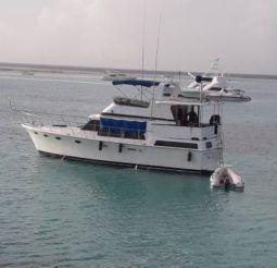 
										WINTER WIND 43 full									