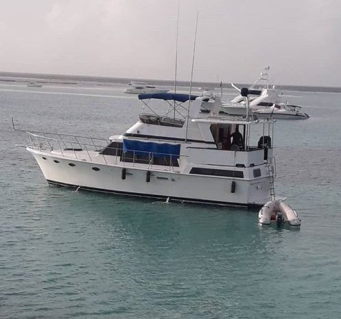 
								WINTER WIND 43 full									