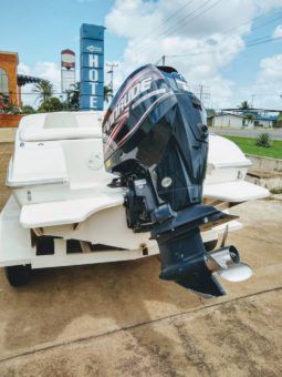 
										PROMANDER DEPORTIVA 22 full									