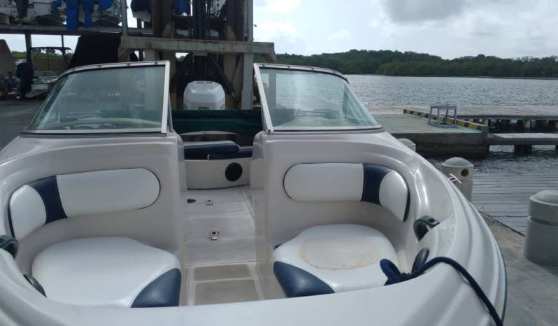 
								SEA RAY OPEN 18 full									