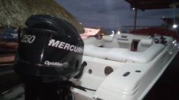 
										PROMARINE SPORT 21 full									