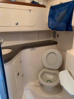 
										GRADY WHITE 330 full									