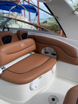
										CROWNLINE LS 32 full									