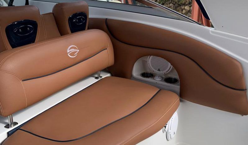 
								CROWNLINE LS 32 full									