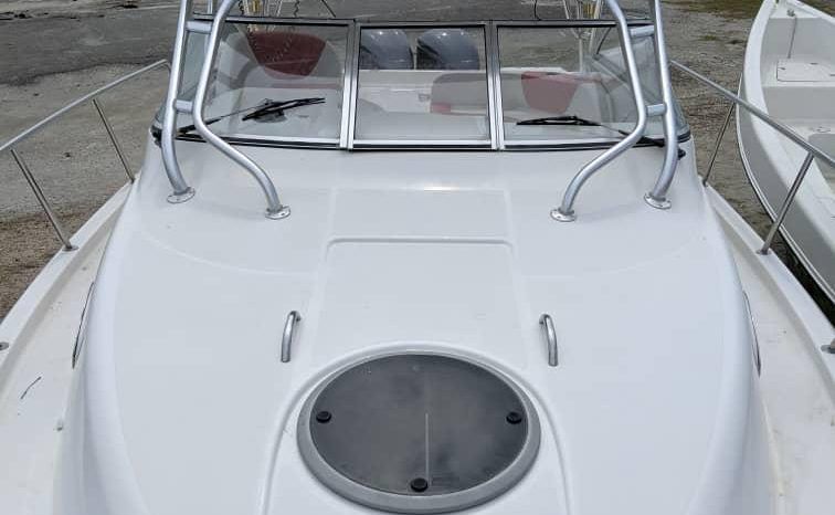 
								SEASWIRL STRIPER EXPRESS 33 full									