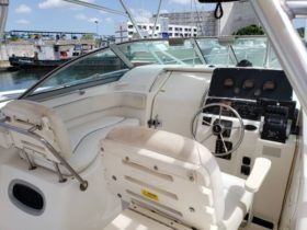BOSTON WHALER OUTRAGE 280