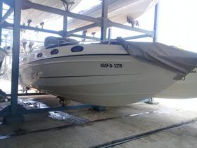INTERMARINE Z29