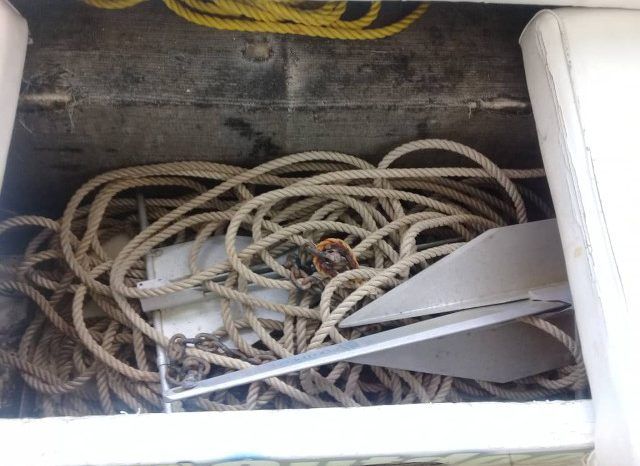 
								INTERMARINE Z29 full									
