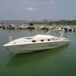 
										INTERMARINE Z29 full									